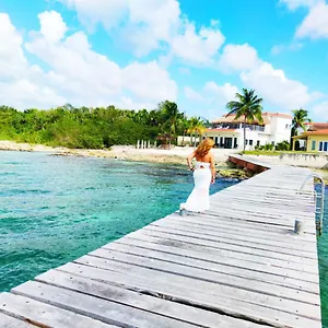 The Queen Of House -luxury Beachfront Villa- Million Dollars View Mexico